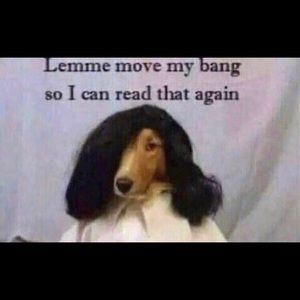 Meet your Posher, Celeste